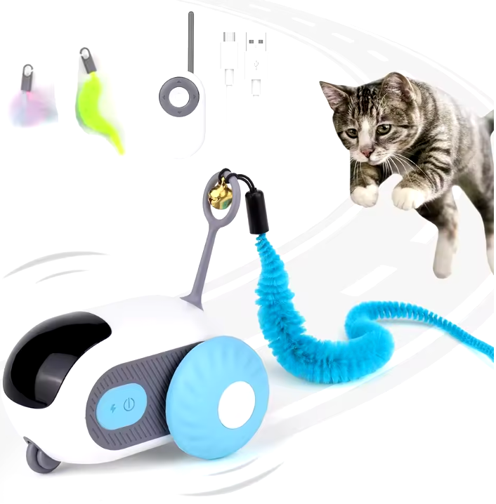Jouet Interactif pour Chat avec Télécommande