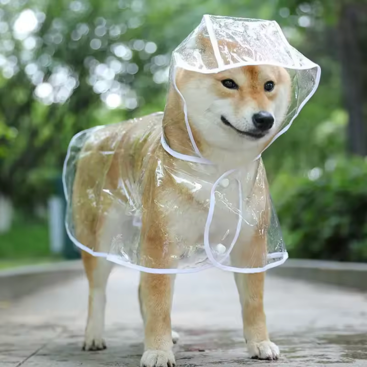 Imperméable Transparent pour Chien avec Capuche - Manteau de Pluie Étanche