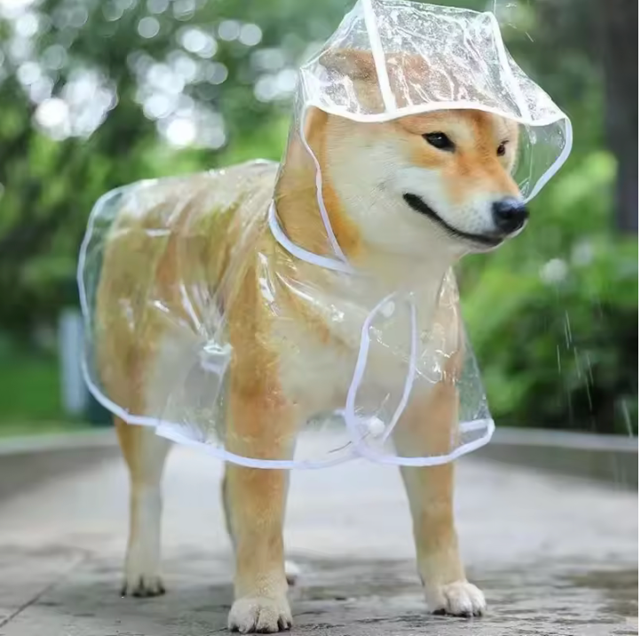 Imperméable Transparent pour Chien avec Capuche - Manteau de Pluie Étanche