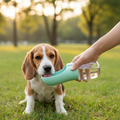 Bouteille d'Eau Portable pour Chien - 300ml