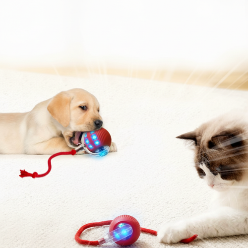 Chiot et chaton jouant avec la balle interactive